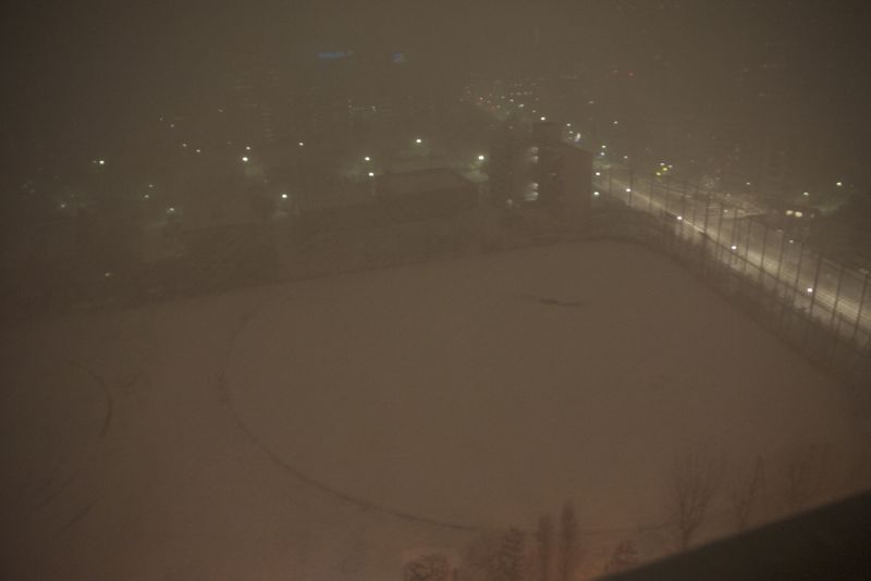 20100201_snow